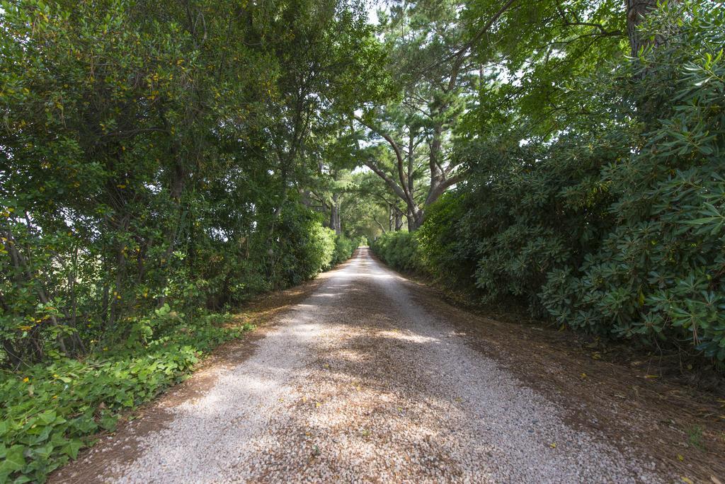 Agriturismo Le Vallette Bibbona Kültér fotó
