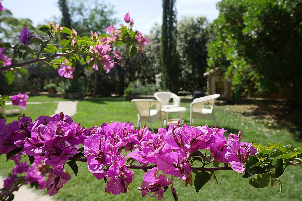 Agriturismo Le Vallette Bibbona Kültér fotó