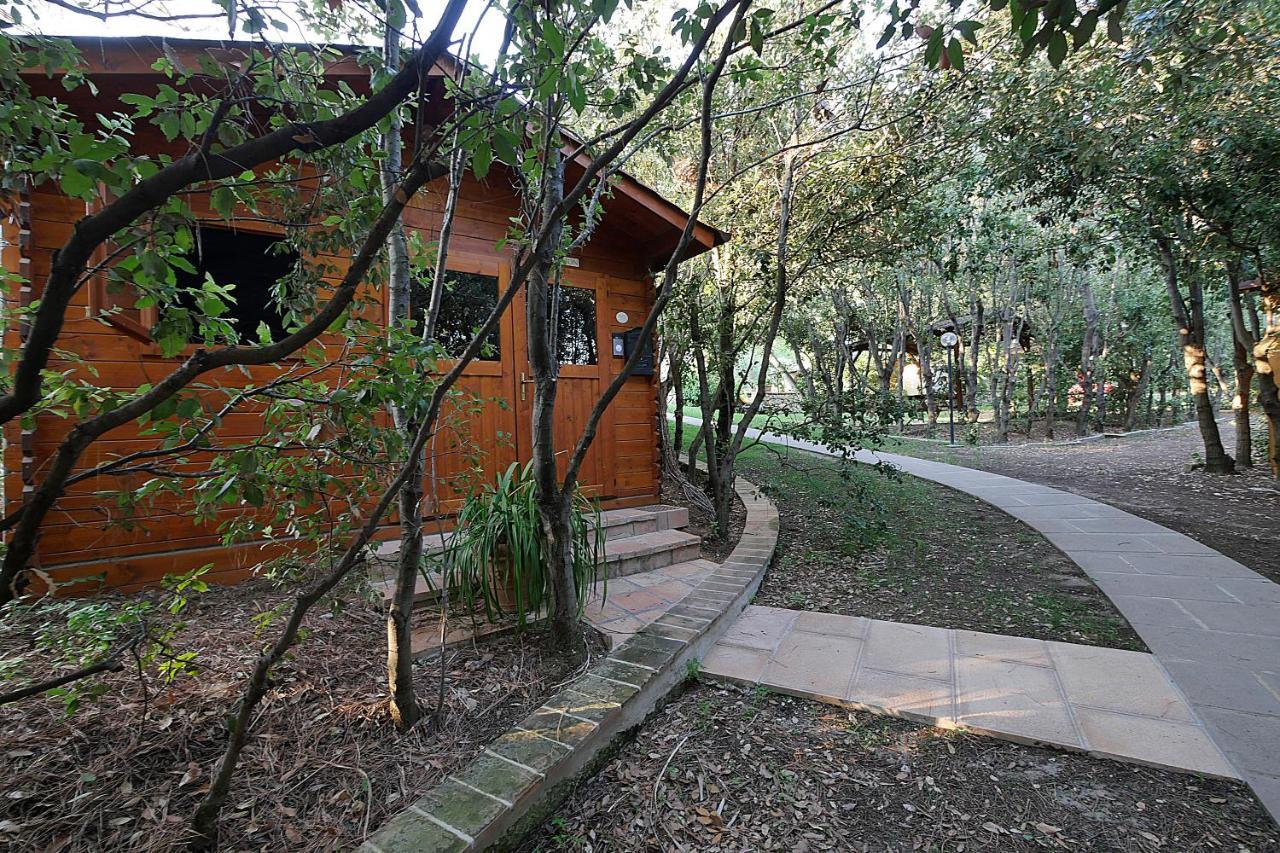 Agriturismo Le Vallette Bibbona Kültér fotó