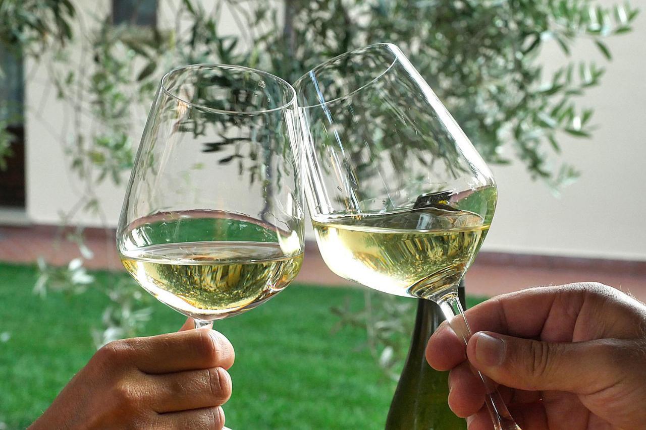 Agriturismo Le Vallette Bibbona Kültér fotó